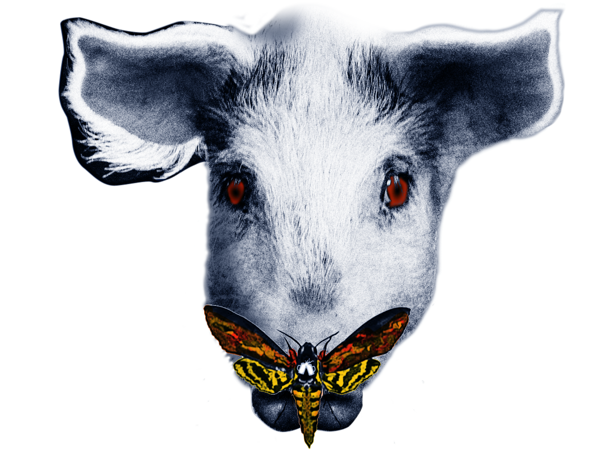 Silence of the Hams